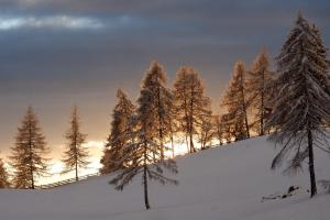 Wolfhof_Ritten v zime