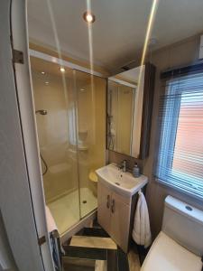 a bathroom with a shower and a sink and a toilet at Chillingham lodge with hot tub Felmoor Park in Felton
