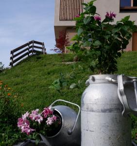 Vonkajšia záhrada v ubytovaní Wolfhof_Ritten