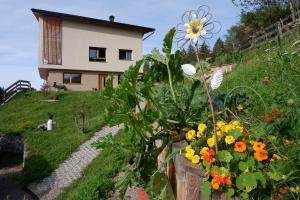 Vonkajšia záhrada v ubytovaní Wolfhof_Ritten