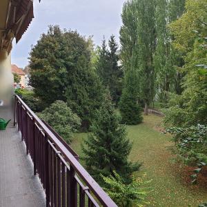 un balcón con una valla y un árbol de Navidad en Côté parc, en Schiltigheim