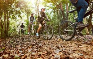 阿爾杰什的住宿－Dynamic Bike Home，三人骑着自行车在树林里的小径上