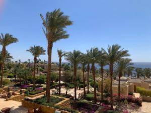 a view of a resort with palm trees and the ocean at fourseasons resort - chalet- Private Residence at fourseasons sharm elsheikh in Sharm El Sheikh