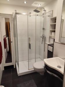 ein Badezimmer mit Dusche, Toilette und Waschbecken in der Unterkunft Schöne Gartenwohnung Düsseldorf in Düsseldorf