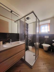 a bathroom with a glass shower and a sink at Baita Filomena in Livigno