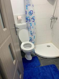 a bathroom with a toilet and a shower with a blue rug at Vila Iulia in Trăisteni +36 photos