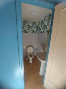 a bathroom with a toilet and a sink at La Parent'aise un brin d'Auvergne 