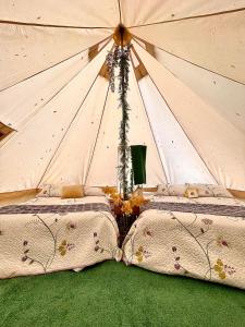two beds in a yurt with at M.Ruth Retreats in the Orchard 