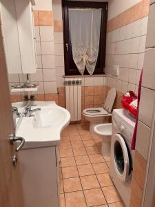y baño con lavabo y lavadora. en Residence San Martino Appartamento mini en Busso