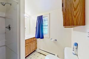 a bathroom with a toilet and a blue curtain at American Dream on Lake Winnipesaukee in Meredith +40 photos