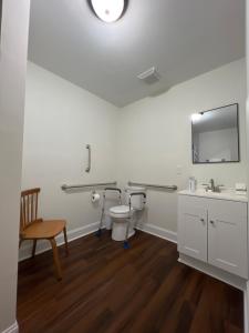 La salle de bains est pourvue de toilettes, d'un lavabo et d'un miroir. dans l'établissement 1BR Fully Handicap Accessible Near Downtown, à Greenville