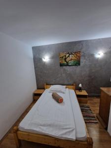 1 dormitorio con 1 cama en una habitación en Cabana dintre munti, en Gureni