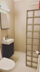 een badkamer met een toilet en een wastafel bij Leilighet for korttidsleie in Otta