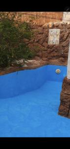 a blue pool with a frisbee in it at Finca amor y sueño isa in Rafal