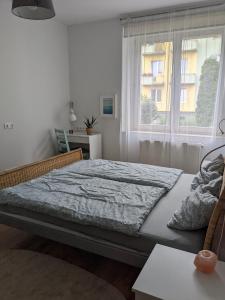a bedroom with a bed and a window at Blue Apartament in Luboń