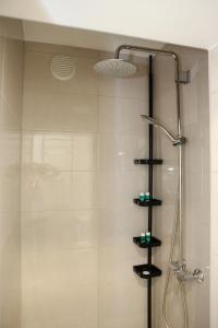 a bathroom with a shower with a shower head at Apartman Grey in Jastrebarsko