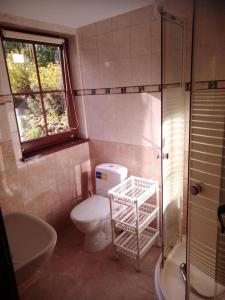 La salle de bains est pourvue de toilettes, d'un lavabo et d'une douche. dans l'établissement Rancho Vaquera, à Polanica-Zdrój