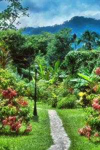 a path through a garden with a lamp post at Salvia Madre in Santa Marta