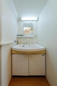 een badkamer met een wastafel en een spiegel bij Grace Heiwajima - Vacation STAY 15464 in Tokyo
