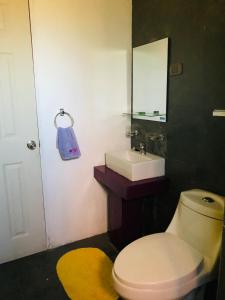 a bathroom with a toilet and a sink and a mirror at Patagonia Dream’s in Puerto Montt