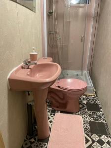 a bathroom with a pink sink and a toilet at Patagonia Dream’s in Puerto Montt