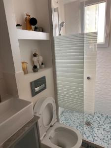uma casa de banho com um chuveiro, um WC e um lavatório. em Maison avec jardin em Viry-Châtillon
