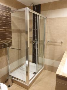 y baño con ducha y puerta de cristal. en Przestronny apartament dla wielu osób - 4 sypialnie, en Gliwice