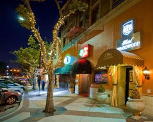 a tree on a sidewalk in front of a building at Brand Plaza Hotel in Glendale