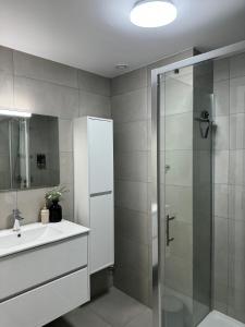 La salle de bains est pourvue d'une douche et d'un lavabo. dans l'établissement Liège Luxe & Jacuzzi sous les étoiles, à Saint-Nicolas