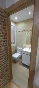 a bathroom with a toilet and a sink and a mirror at Apartamento San Juan in Riaza
