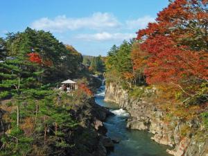 a river in the middle of a forest with trees at Kajitsu no mori - Vacation STAY 53766v in Ichinoseki