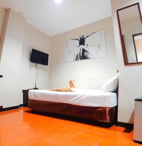Letto o letti in una camera di Hotel California Suite