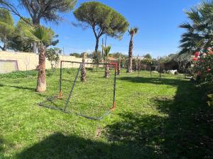 a batting cage in a yard with palm trees at Villa palmeras in Numancia de la Sagra