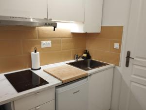 eine Küche mit einer Spüle und einer Arbeitsplatte in der Unterkunft Atypique Logement Central in Arpajon