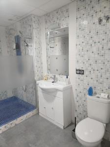 a bathroom with a toilet and a sink and a shower at Casa Dancha in Mijas Costa