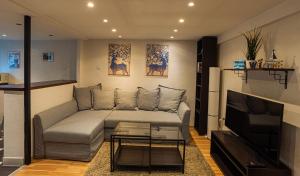een woonkamer met een bank en een tv bij Cosy Corner - Entire Apartment near Oktogon in Boedapest