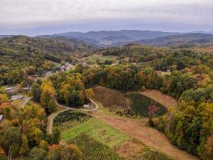 an aerial view of a valley with trees and a road at Songbird Cabin in Vilas