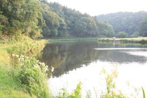 Fotografie z fotogalerie ubytování Ty Mat B&B v destinaci Lochrist + 18 fotografií