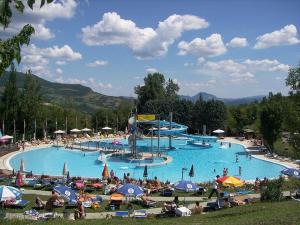 a group of people in a large swimming pool at Villa Fedora in Lizzano in Belvedere