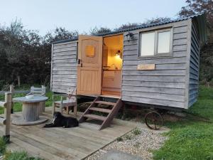 a dog laying on a wooden deck in front of a tiny house at Under the Stars Shepherds Huts at Harbors Lake in Newchurch