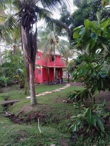 a red house with a palm tree in front of it at Kitnete Aconchegante in Itacaré