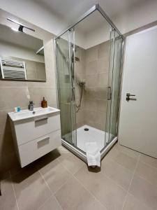La salle de bains est pourvue d'une douche, d'un lavabo et de toilettes. dans l'établissement Apartmán Vyškov, à Vyškov