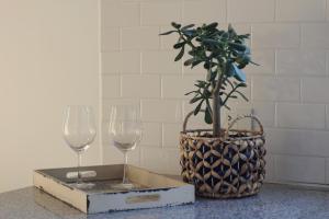 two wine glasses and a potted plant on a counter at Las Marias 21 in San Salvador de Jujuy