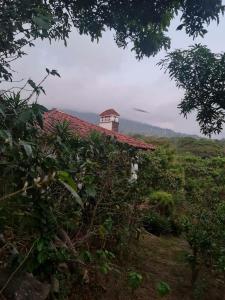una casa con techo rojo en una colina en Casa de campo amplia y tranquila en Juayúa