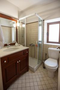ein Bad mit einer Dusche, einem WC und einem Waschbecken in der Unterkunft Rustic home in heart of Stemnitsa in Stemnitsa