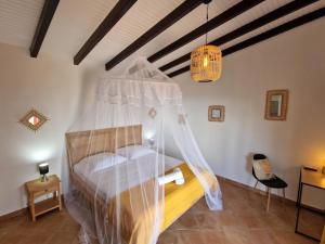 聖弗朗西斯的住宿－Le Jeïpur Villa vue mer piscine privée，一间卧室配有一张带蚊帐的床