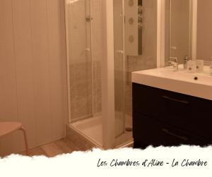 W łazience znajduje się prysznic, umywalka i prysznic. w obiekcie Les Chambres D'Aline w mieście Conches