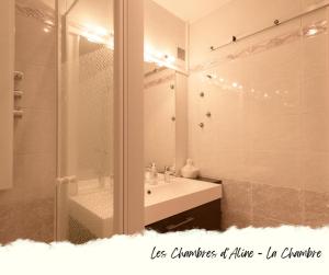 a bathroom with a sink and a shower and a mirror at Les Chambres D'Aline in Conches