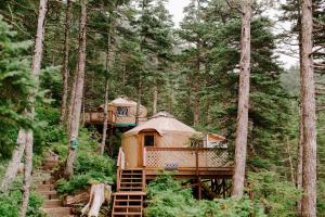 a tree house in the middle of a forest at Shearwater Cove in Seward +53 photos