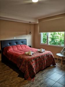 1 dormitorio con 1 cama con manta roja y ventana en La Colmena Aparts en El Calafate